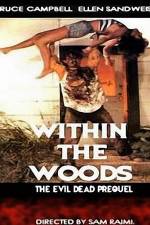 Watch Within the Woods 9movies