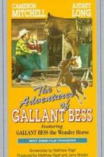 Watch Adventures of Gallant Bess 9movies