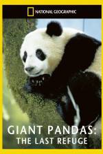 Watch National Geographic Giant Pandas The Last Refuge 9movies