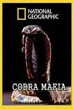 Watch National Geographic Cobra Mafia 9movies