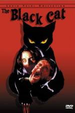 Watch Black Cat 9movies