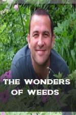 Watch The Wonder Of Weeds 9movies
