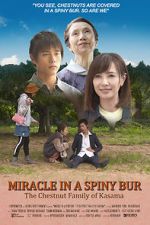 Watch Miracle in Kasama 9movies