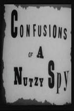 Watch Confusions of a Nutzy Spy 9movies