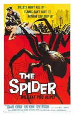 Watch The Spider 9movies