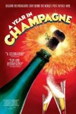 Watch A Year in Champagne 9movies
