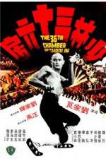 Watch The 36th Chamber of Shaolin 9movies