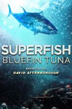 Watch Superfish Bluefin Tuna 9movies
