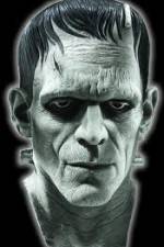 Watch Frankenstein Birth of a Monster 9movies
