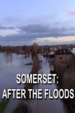 Watch Somerset: After the Floods 9movies
