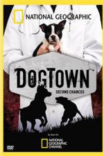 Watch National Geographic DogTown 9movies