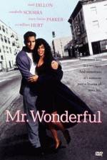 Watch Mr Wonderful 9movies