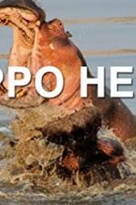 Watch Hippo Hell 9movies