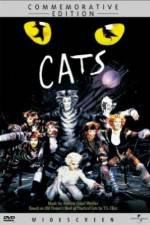 Watch Great Performances Cats 9movies