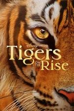 Watch Tigers on the Rise 9movies
