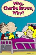 Watch Why Charlie Brown Why 9movies
