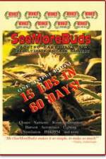 Watch SeeMoreBuds: Vol. 1 9movies