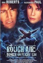 Watch Rough Air: Danger on Flight 534 9movies