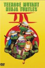 Watch Teenage Mutant Ninja Turtles III 9movies