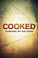 Watch Cooked: Survival by Zip Code 9movies