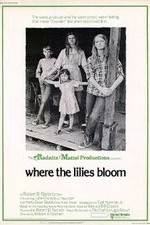Watch Where the Lilies Bloom 9movies