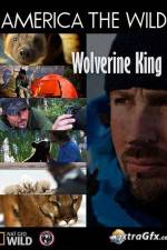 Watch National Geographic Wild America the Wild Wolverine King 9movies