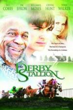 Watch The Derby Stallion 9movies