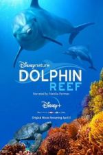 Watch Dolphin Reef 9movies