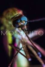Watch Mosquito 9movies
