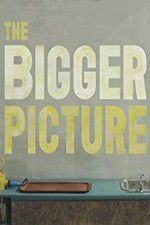 Watch The Bigger Picture 9movies