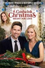 Watch A Godwink Christmas: Meant for Love 9movies