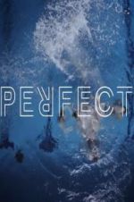 Watch Perfect 9movies