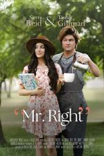 Watch Mr. Right 9movies