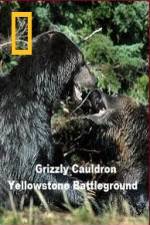 Watch National Geographic Grizzly Cauldron 9movies