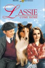 Watch Lassie Come Home 9movies