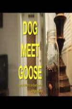 Watch Dog Meet Goose 9movies