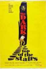 Watch The Dark at the Top of the Stairs 9movies