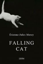 Watch Falling Cat 9movies