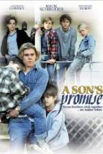 Watch A Son's Promise 9movies