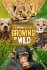 Watch Growing Up Wild 9movies