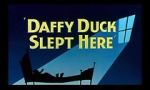 Watch Daffy Duck Slept Here (Short 1948) 9movies
