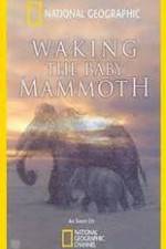 Watch Waking the Baby Mammoth 9movies