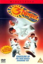 Watch 3 Ninjas Knuckle Up 9movies