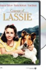 Watch Courage of Lassie 9movies