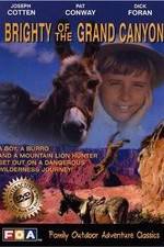 Watch Brighty of the Grand Canyon 9movies