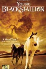 Watch The Young Black Stallion 9movies