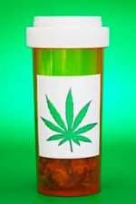 Watch Medicinal Cannabis and its Impact on Human Health 9movies