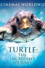 Watch Turtle The Incredible Journey 9movies