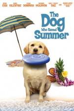 Watch The Dog Who Saved Summer 9movies