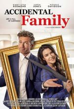 Watch Accidental Family 9movies